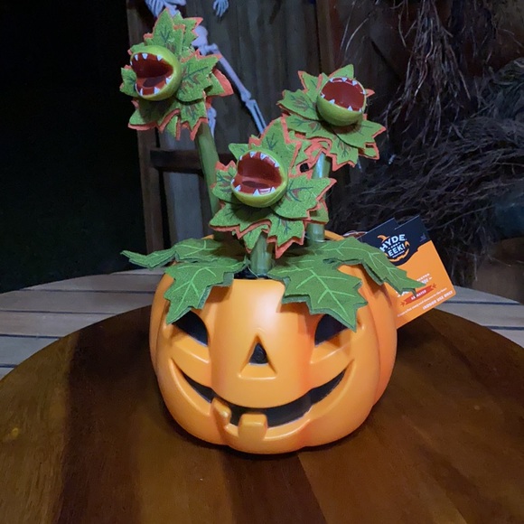 Hide and Eek Animated Halloween Pumpkin with Creepy Dancing and Singing Vines 🎃 - Picture 3 of 16